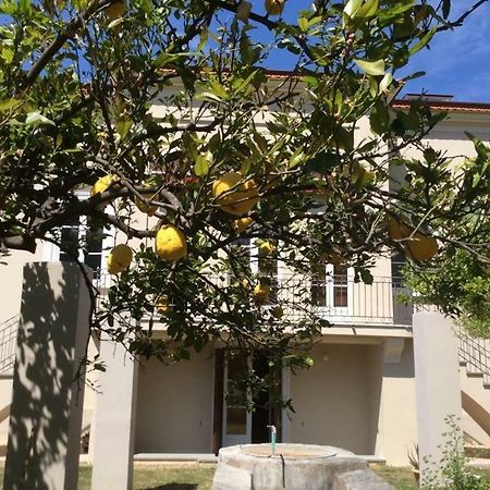Villa Caterina Sapri Zewnętrze zdjęcie